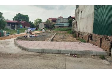Bán đất Thanh Văn- Thanh Oai, đấu giá 58m2, 17 triệu/m2, 20m ô tô tránh, đầu tư dưới 1 tỷ